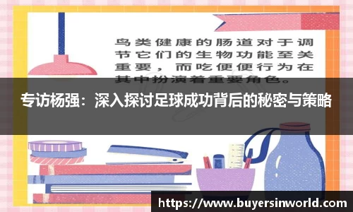 必一bsports体育